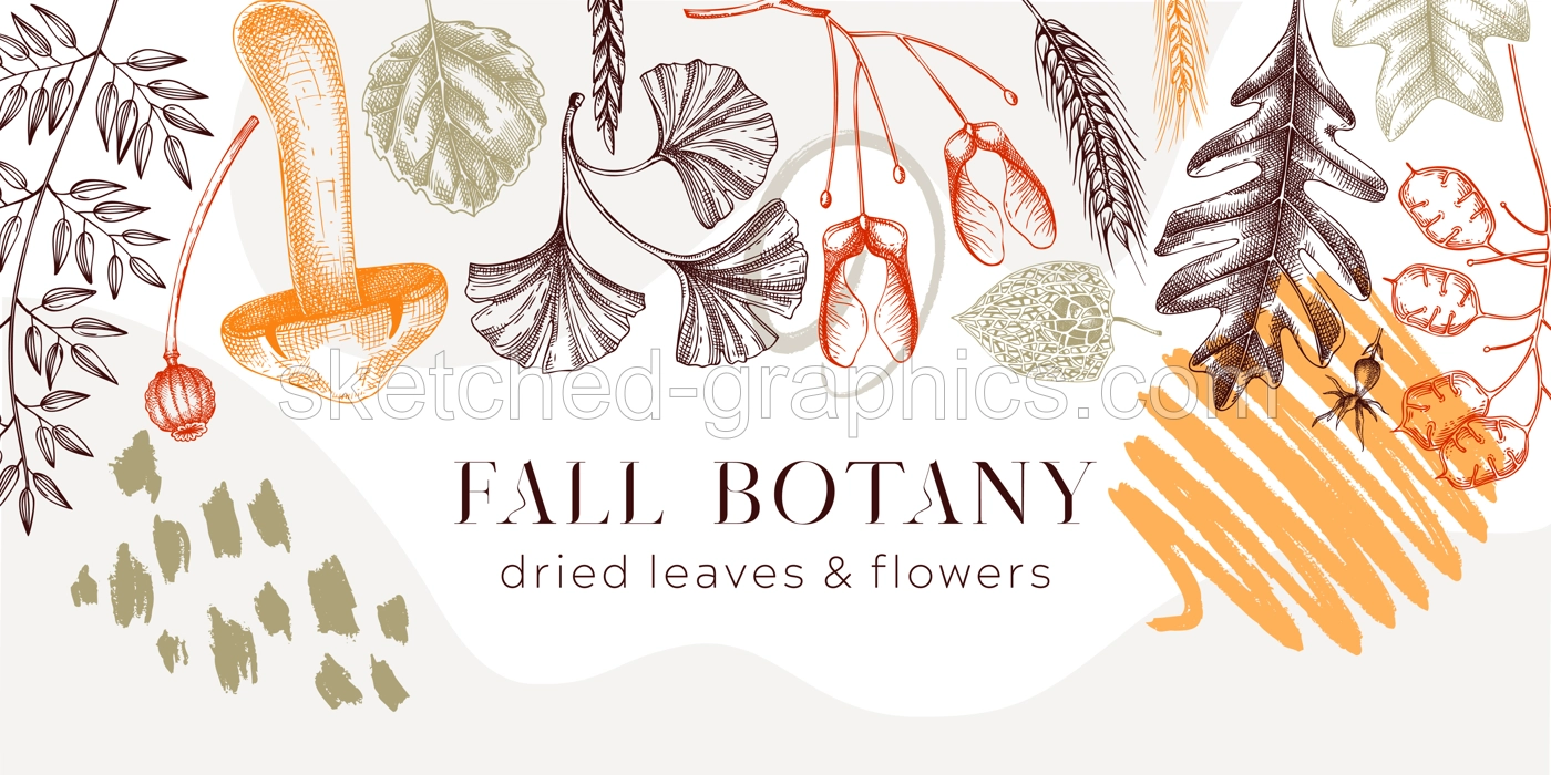 Autumn banner with fallen leaves and dried flowers. Collage style Thanksgiving background. Hand drawn botanical border template. Sketched dried herbs, fall leaves, mushrooms, and fruit illustration.  Illustration